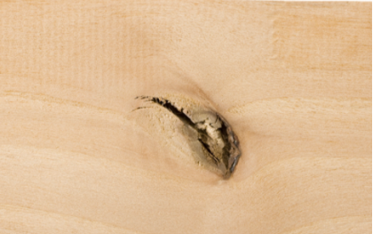 Closeup of Knotty Alder wood sample